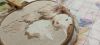 IMG_20240429_112117_199.thumb.jpg.83776b61b8de6b84af5ae1bb129b997e.jpg