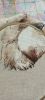 IMG_20240429_180822_28.thumb.jpg.436c5766944941e45d36620dd7242768.jpg