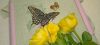 IMG_20240430_195320.thumb.jpg.fb96ae4855e781308eb6f5c9c5b15b23.jpg