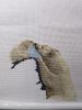 IMG_20240602_123124.thumb.jpg.78e5525e9e741ce71c705dd8865f7cf9.jpg