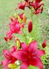 IMG_20240720_095028.thumb.jpg.e2a5078b00b4f37f12b704d6c867a5a2.jpg