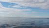 IMG_20240727_174207.thumb.jpg.a46899e4b2b979c023aa9fa1e4ae18a7.jpg