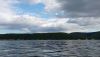 IMG_20240727_174236.thumb.jpg.8c5812a8768bb988d0d0576815c63842.jpg