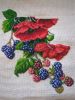 PXL_20240729_065824398_exported_814_1722236387322.jpg.fd315c97a7b1d688edec0ea95de96a8e.thumb.jpg.f5d3ae152a08f459e4fb79219eb6fadd.jpg