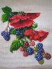 PXL_20240729_065824398_exported_814_1722236387322.thumb.jpg.84df366d554bf64dff29ef7128c460fb.jpg