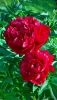 QO_KUa_wTe0.thumb.jpg.25df601a9b0770adbc4ea515801200a0.jpg