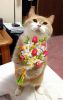 post-33194-1455545576.thumb.jpg.a4160192f70ad5ebd3f2c48b9f795944.jpg