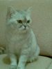 100509537_.thumb.jpg.495e29df5342d9766c6f0d86200dac79.jpg