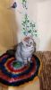 1532941138_.thumb.jpg.7ec5332965ad97e4a3a6aa1e817ca008.jpg