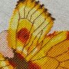 16.thumb.jpg.ff88710e52188603ee9f4ea78b52d1c0.jpg