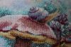 1895280295_1(2).thumb.jpg.bfcadb339841c52ee56b3ad0941dedd6.jpg