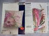 20240706_121434.thumb.jpg.9b9e505a991eda0b95e9f68d9357bbe4.jpg?1723891297369
