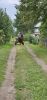 20240804_113116.thumb.jpg.6307a32e12a2a8737240ca6548dda2eb.jpg