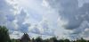 20240805_113617.thumb.jpg.18f6237d0b97f4b98732f7ec3a6067f8.jpg