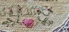 20240821_195658.thumb.jpg.aacca6e4ec2443e5990a46f46ad2522c.jpg