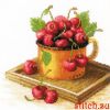 57446.thumb.jpg.e186339a39822f0fab034e6a726441f0.jpg
