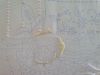 6.thumb.jpg.c956bc3d7a404edb09dbf5b76ce7a886.jpg