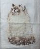 632369480_Meow-Zen8-30-2024.jpg.1d94590ba90b298a2c950745b9d22365.thumb.jpg.8e664cb272f345d101217a4a6fcca0a4.jpg