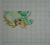 DSC08049.thumb.JPG.e58ad15bbcffe729c6eae20b1b565f76.JPG