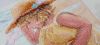IMG-20240814-WA0011.thumb.jpg.1e8a01a6d40dc8be0c658ebe7827b192.jpg