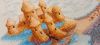 IMG-20240814-WA0012.thumb.jpg.a771a1af8c7fb9acdcf84669c1122a1e.jpg