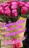 IMG-898d0e09b65bb6525f58892c073c195a-V.thumb.jpg.1207811fc6771dd1cd69be2a4e1ecbf4.jpg