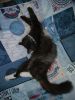 IMG20240718142457.thumb.jpg.2e475383f0f268ad2069790b8dc6c834.jpg