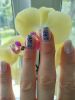 IMG20240804120050.thumb.jpg.bbe29c58414867decce7c0cdffe10d37.jpg
