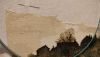 IMG20240829212501.thumb.jpg.8e90dced2014bf30bd1a51c4ae4a30bf.jpg