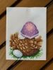 IMG_0011.thumb.jpeg.8a0c52f98005afe9a2abea60ba0e47da.jpeg