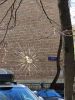 IMG_20240420_130157.thumb.jpg.ff651b5439af60513e74c0438c187ab0.jpg