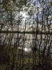 IMG_20240504_175321.thumb.jpg.c431056476a3ae823d40228b0e7530a3.jpg