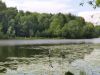 IMG_20240602_154648.thumb.jpg.754990a3cb18c59a19f5f2814929fe1f.jpg