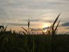 IMG_20240630_201043.thumb.jpg.854d6055b673a286b5a527bd00b4d292.jpg