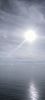 IMG_20240711_175340.thumb.jpg.802e0d56f2887eed2229093e0f282c46.jpg