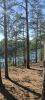 IMG_20240713_165053.thumb.jpg.f8c72e620e990dd427f92910f0820300.jpg