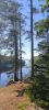 IMG_20240713_170655.thumb.jpg.80124d7f9cfac5ec3a246c19e1b8ffbf.jpg