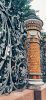 IMG_20240715_231649.thumb.jpg.54a956eb7787c81bf0bb7d5d51ccb5aa.jpg