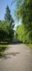 IMG_20240718_091934.thumb.jpg.1ccdedfbd70c5a3174b70af4c9c4bfcd.jpg