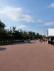 IMG_20240723_165902.thumb.jpg.4a0d9d524f2b1e87083e553dd0e594f2.jpg