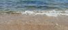 IMG_20240725_121835.thumb.jpg.e09501d0fcb72c21301a39bcfecd9b40.jpg