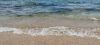 IMG_20240725_121837.thumb.jpg.076ef24a97790077fb52e1c514ab713e.jpg