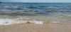 IMG_20240725_121843.thumb.jpg.968971d57e51788ae31569e8e6b644c1.jpg