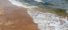 IMG_20240725_141611.thumb.jpg.3de37a22e28fefd7c58f9f944c7d7322.jpg
