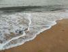 IMG_20240726_194447.thumb.jpg.2bdbe38bd8a0c462a04b2910c40c966d.jpg