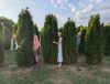 IMG_20240730_113345_742.thumb.jpg.1b1f04c8d1db8549b8bff0f3a7939085.jpg