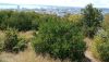 IMG_20240803_130640.thumb.jpg.f2be2adc0b94a1c05e097ad0dc2ca0e3.jpg