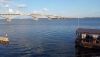 IMG_20240803_190037.thumb.jpg.91347e10aa915370f9b06d49f6117944.jpg