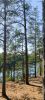 IMG_20240807_214051.thumb.jpg.8c0df7514cac921ba2fcff6588babd2b.jpg