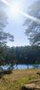 IMG_20240807_214123.thumb.jpg.ad25e1d699a77410f5774f788e79420e.jpg
